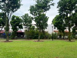 Tamarind Road (D28), Terrace #452885151